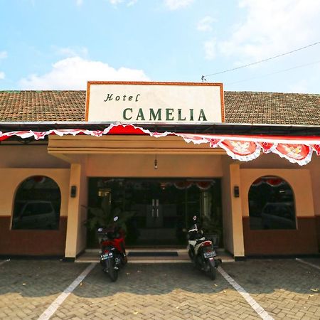 Hotel Camelia Μαλάνγκ Εξωτερικό φωτογραφία