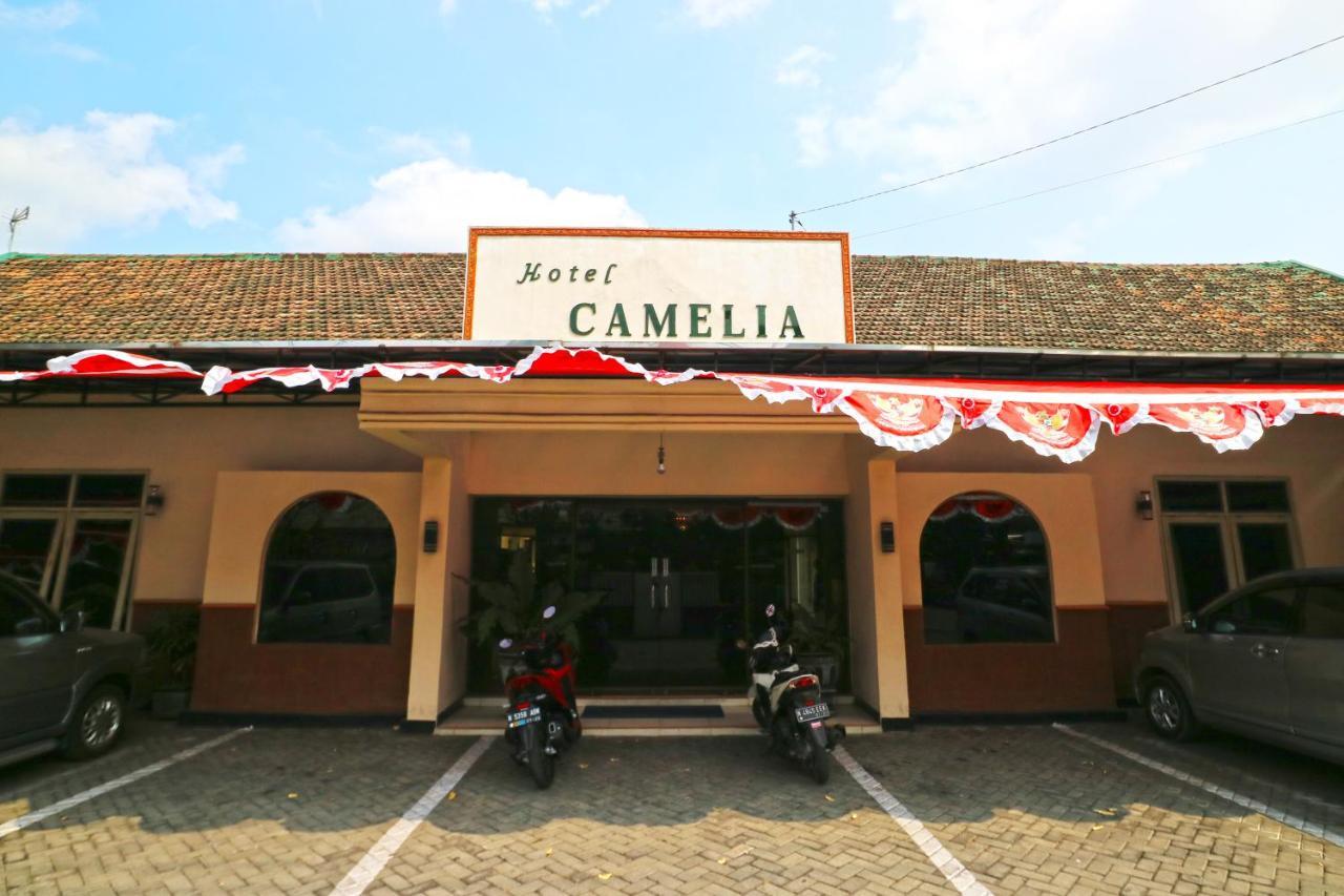 Hotel Camelia Μαλάνγκ Εξωτερικό φωτογραφία